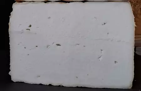 Сусанинский (коз)